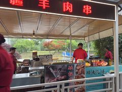 -大队长大灶鹅