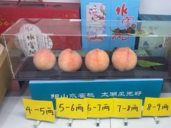 -老袁家蜜桃农场·阳山水蜜桃