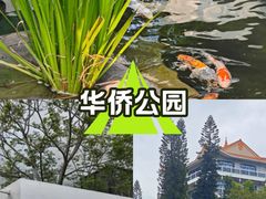 -华侨公园