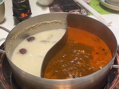 -洪氏嗨捞·猪肚鸡火锅(阳光天地店)