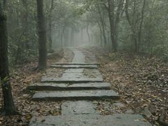 android_upload_pic-西湖风景区十里琅珰-五云山