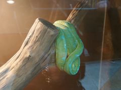 -上海大自然野生昆虫馆