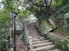 -紫金山天文台