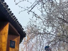-春风习习