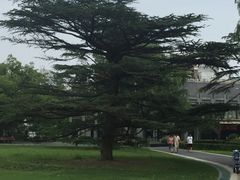 -御花园·粤菜·海鲜火锅(中山公园店)