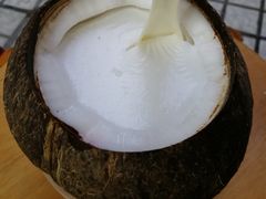 -椰爺爺·椰子冻砵仔糕