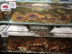 门面-超级物种·波龙工坊(国贸店)