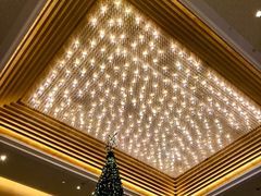 -成都保利公园皇冠假日酒店(熊猫基地店)