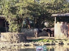 -宁波野生动物园