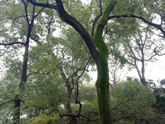 -白沙古井