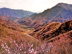 -大岭沟猕猴桃谷风景区