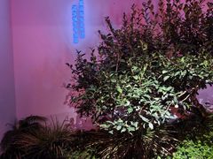 -凤凰山斑鱼馆(恭城店)