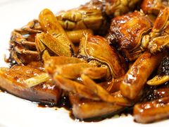 毛蟹炒年糕-翠亭酒家(山西南路店)