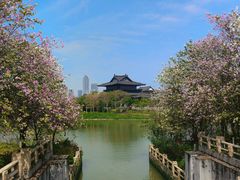 -海珠湖公园