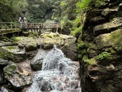 -牛背梁国家森林公园