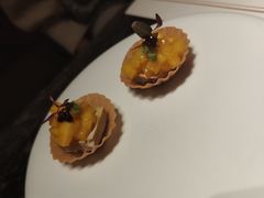 -觀芷隐轩