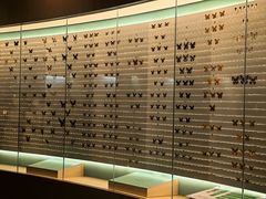 -陕西自然博物馆