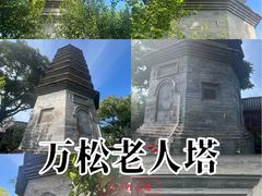 -万松老人塔