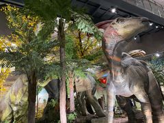 -湖南省地质博物馆