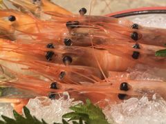 -上渔铁板烧(熙悦汇店)