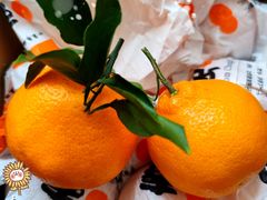 -麦德龙(嘉定店)