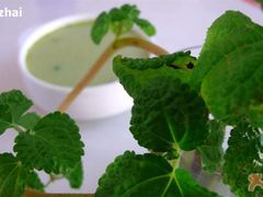 -Babycat私家御饼屋(龙头路一店)