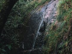 -金子山原生态旅游风景区