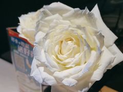 -渝信川菜(工体店)