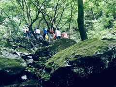 -藏龙百瀑风景区