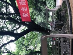 -菊花台公园