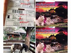 -清迈夜间动物园