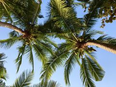 -三亚海棠湾万丽度假酒店