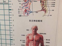 -张钰强中医正骨推拿连锁(华发商都店)