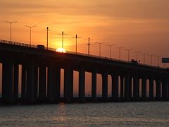 -宝安西湾红树林湿地公园