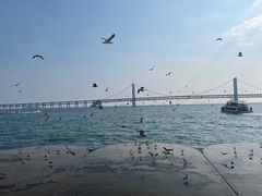 -星海广场
