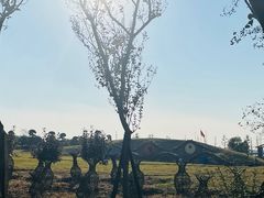 -武汉紫薇都市田园