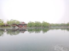 -百脉泉景区