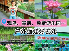 -昆山城市生态森林公园