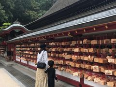 -歌诗达邮轮(宝杨路码头)