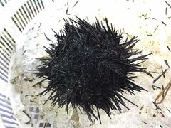 -渔满仓海鲜楼