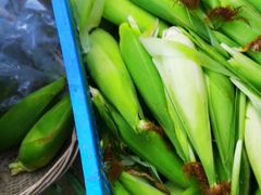 -上海多利农业发展有限公司