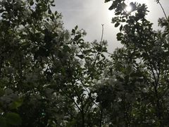 -长春公园(普阳街道)