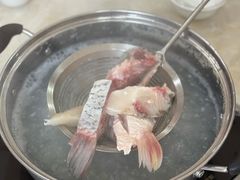 -源港渔村-中山脆肉鲩(博罗店)