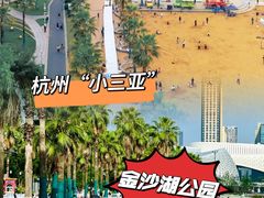 -金沙湖公园