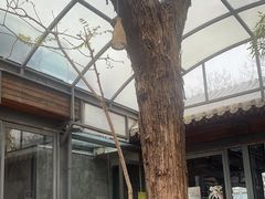-zarah(鼓楼店)