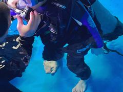 -哈尔滨波塞冬海底世界