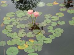 -东部华侨城