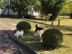 -太阳岛度假酒店