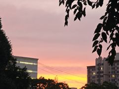 -伊犁羊杂馆