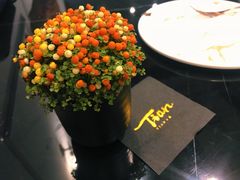 -Tian品